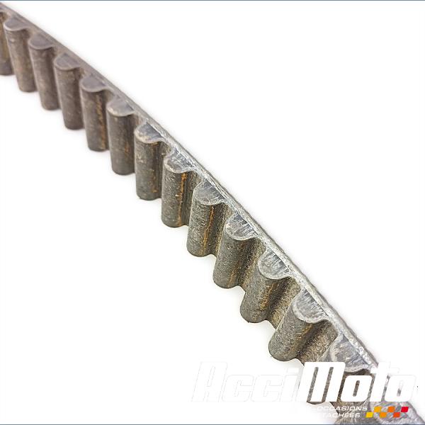 Part Motor bike Courroie HARLEY DAVIDSON NIGHT ROD SPECIAL VRSCDX