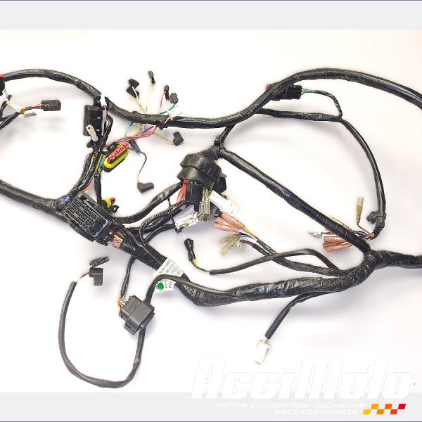 Pièce Moto Faisceau électrique (principal) ZÉRO S01