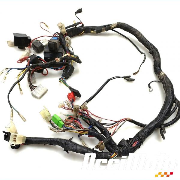 Pièce Moto Faisceau électrique (principal) YAMAHA VIRAGO XV1100