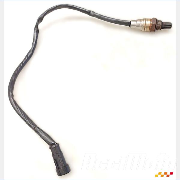 Pièce Moto Sonde lambda HARLEY DAVIDSON NIGHT ROD SPECIAL VRSCDX