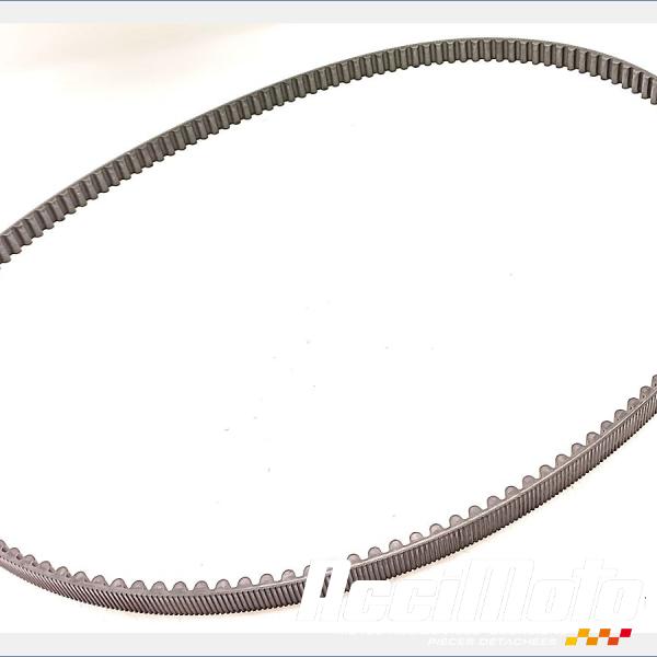 Pièce Moto Courroie HARLEY DAVIDSON NIGHT ROD SPECIAL VRSCDX