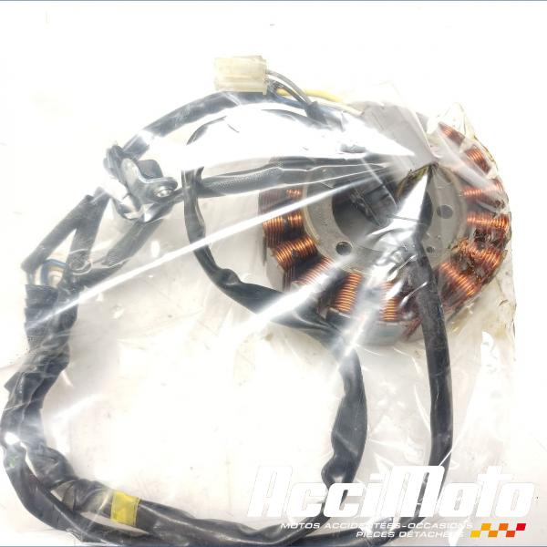 Pièce Moto Stator d'alternateur YAMAHA XTZ TENERE 700 RALLY EDITION