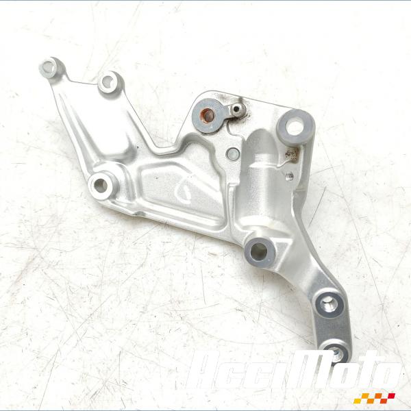 Pièce Moto Platine repose-pied avant (droit) YAMAHA XTZ TENERE 700 RALLY EDITION