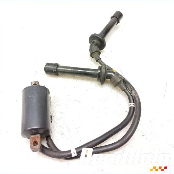 Pièce Moto Bobine d'allumage (1/4) YAMAHA FZ6 S FAZER