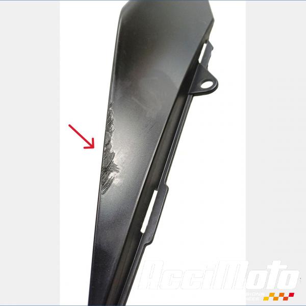 Pièce Moto Coque arrière (gauche) APRILIA RS 660