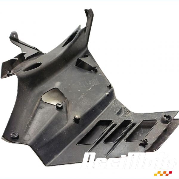 Pièce Moto Flanc de carénage avant (gauche) APRILIA RS 660