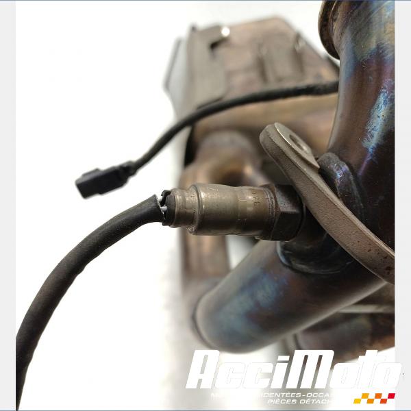 Pièce Moto Ligne d'échappement complète APRILIA RS 660