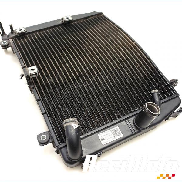 Pièce Moto Radiateur de refroidissement APRILIA RS 660