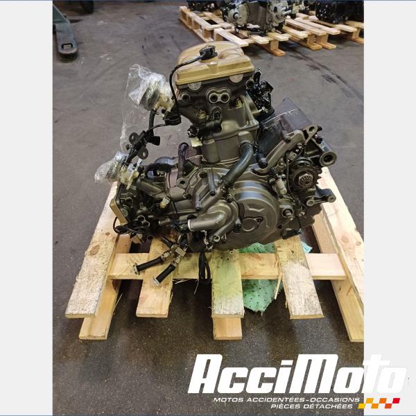 Pièce Moto Moteur DUCATI HYPERMOTARD 950