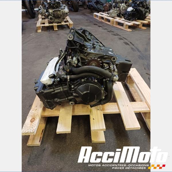 Pièce Moto Moteur HONDA HORNET CB600F