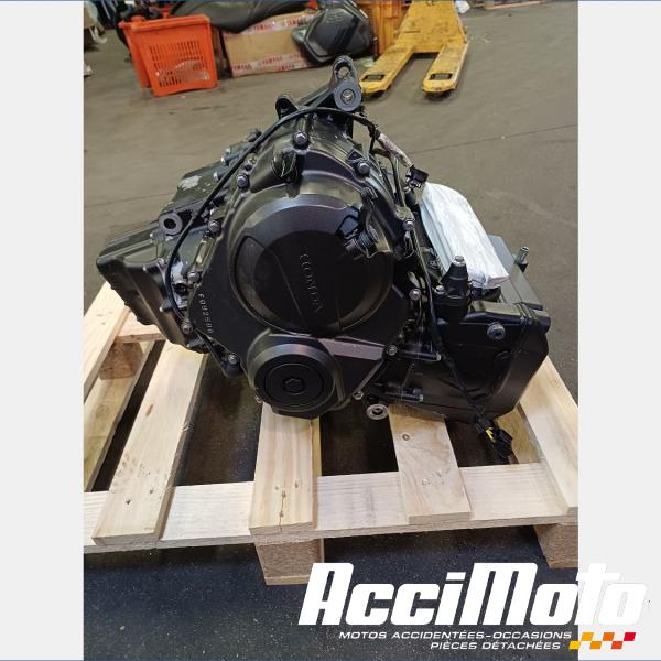 Pièce Moto Moteur HONDA HORNET CB600F