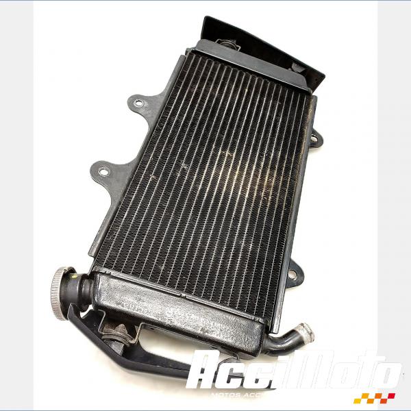 Pièce Moto Radiateur de refroidissement KTM 390 DUKE
