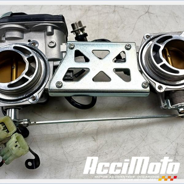 Pièce Moto Rampe d'injection (moteur) DUCATI HYPERMOTARD 950