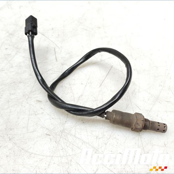 Pièce Moto Sonde lambda TRIUMPH STREET TRIPLE 675