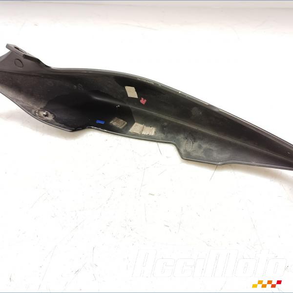 Pièce Moto Coque arrière (droite) TRIUMPH STREET TRIPLE 675