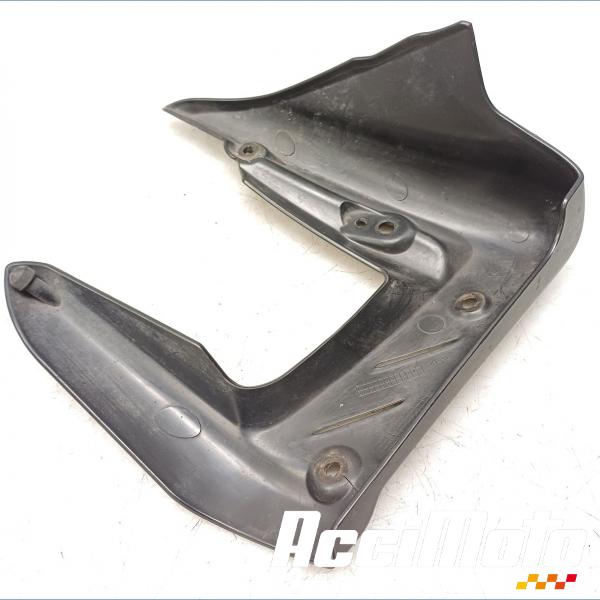 Pièce Moto écope de radiateur (gauche) TRIUMPH STREET TRIPLE 675