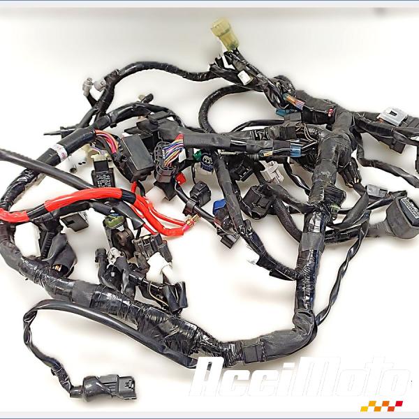 Part Motor bike Faisceau électrique (principal) YAMAHA MT-09
