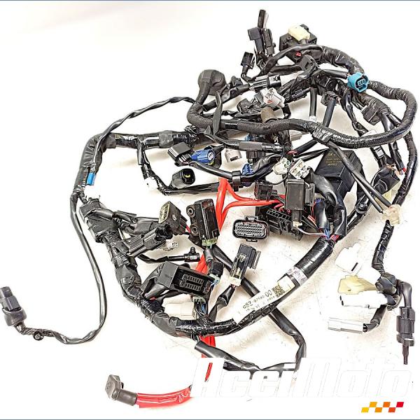 Part Motor bike Faisceau électrique (principal) YAMAHA MT-09