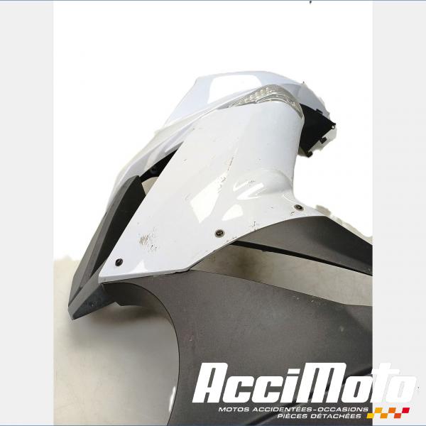 Pièce Moto Flanc de carénage avant (droit) KAWASAKI ER6 F