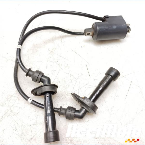 Pièce Moto Bobine d'allumage (1/4) SUZUKI BANDIT GSF650N