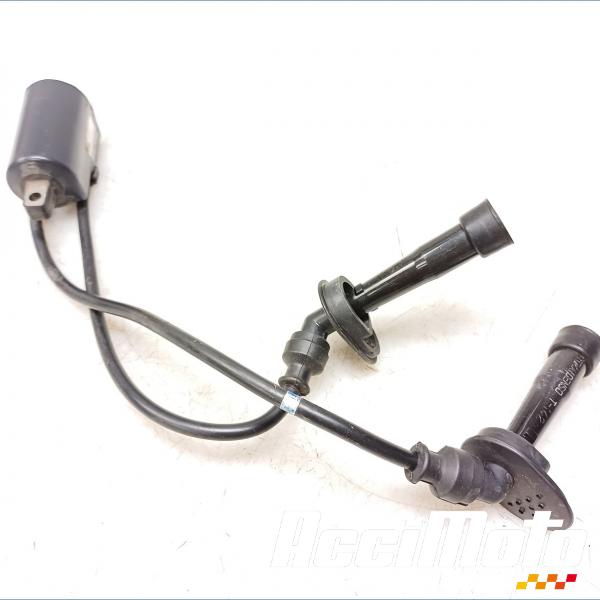 Pièce Moto Bobine d'allumage (2/3) SUZUKI BANDIT GSF650N