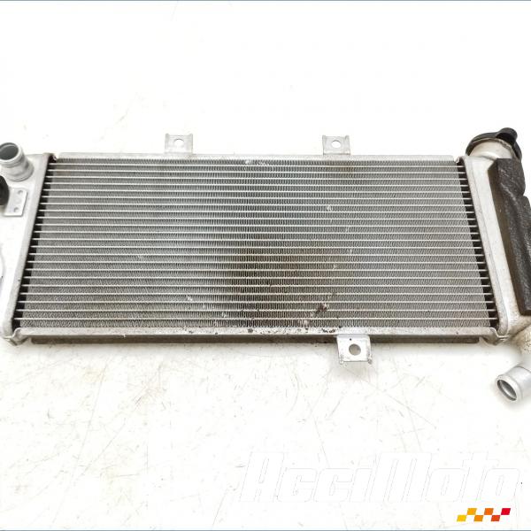 Part Motor bike Radiateur de refroidissement KAWASAKI ER6 F