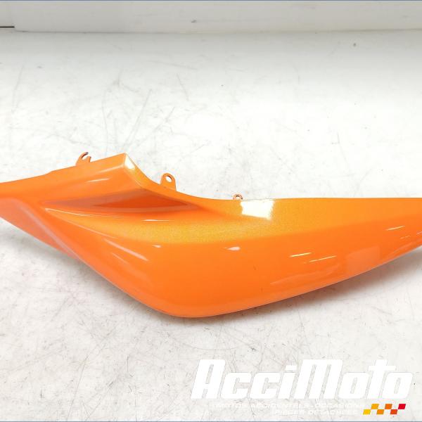 Pièce Moto Coque arrière (droite) KAWASAKI Z 750