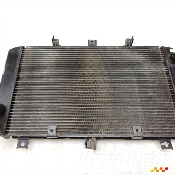 Pièce Moto Radiateur de refroidissement KAWASAKI Z 750