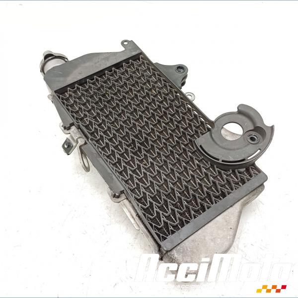Pièce Moto RADIATEUR REFROIDISSEMENT D HONDA AFRICA TWIN 1100 ADVENTURE SPORT 