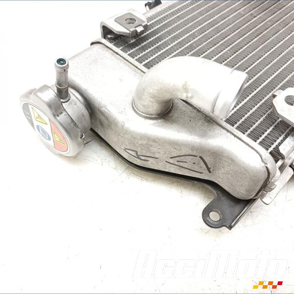 Pièce Moto RADIATEUR REFROIDISSEMENT D HONDA AFRICA TWIN 1100 ADVENTURE SPORT 