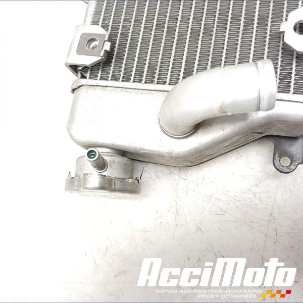Pièce Moto RADIATEUR REFROIDISSEMENT D HONDA AFRICA TWIN 1100 ADVENTURE SPORT 
