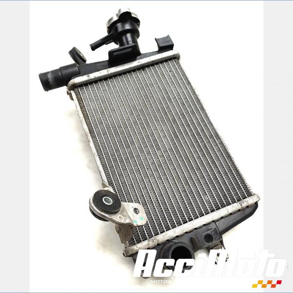 Pièce Moto RADIATEUR REFROIDISSEMENT D BMW R1250 RT