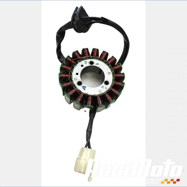 Pièce Moto Stator d'alternateur ZONTES SCRAMBLER 125