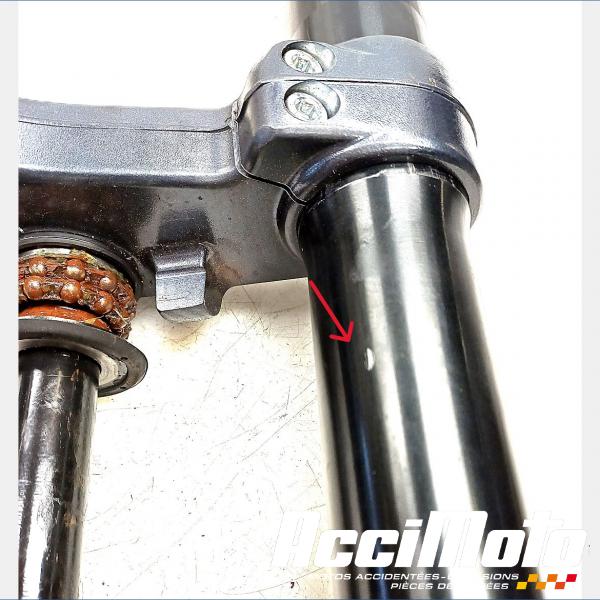 Pièce Moto Fourche complète ZONTES SCRAMBLER 125