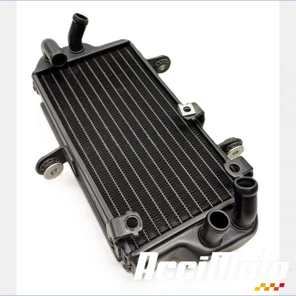 Pièce Moto Radiateur de refroidissement ZONTES SCRAMBLER 125