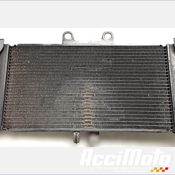 Pièce Moto Radiateur de refroidissement SUZUKI BANDIT GSF650N