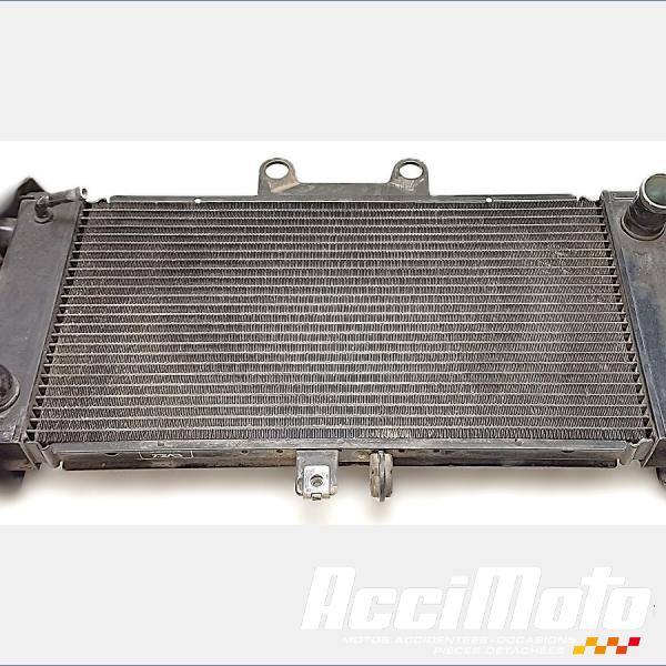 Pièce Moto Radiateur de refroidissement SUZUKI BANDIT GSF650N