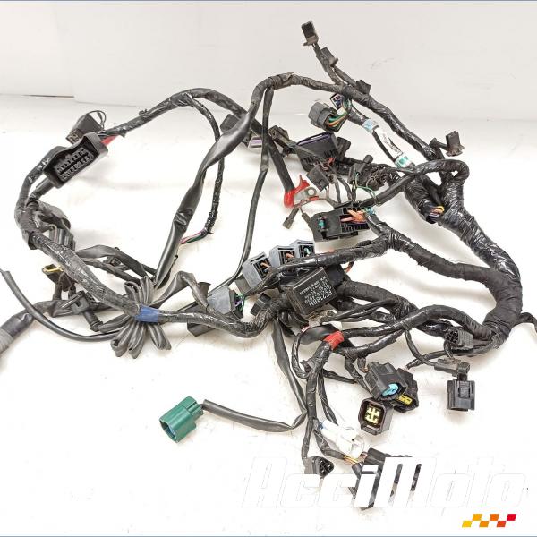 Pièce Moto Faisceau électrique (principal) TRIUMPH STREET TRIPLE 675