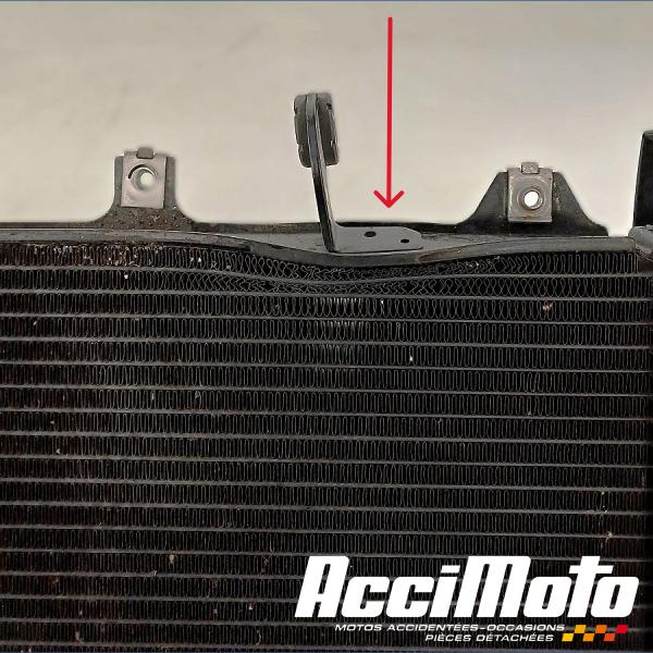 Pièce Moto Radiateur de refroidissement SUZUKI SV 650N