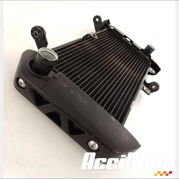 Pièce Moto Radiateur de refroidissement SUZUKI SV 650N