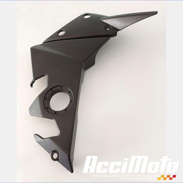 Pièce Moto CACHE CADRE  LA PAIRE  KAWASAKI Z 750