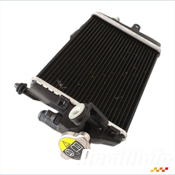 Pièce Moto RADIATEUR REFROIDISSEMENT D BMW R1300 GS