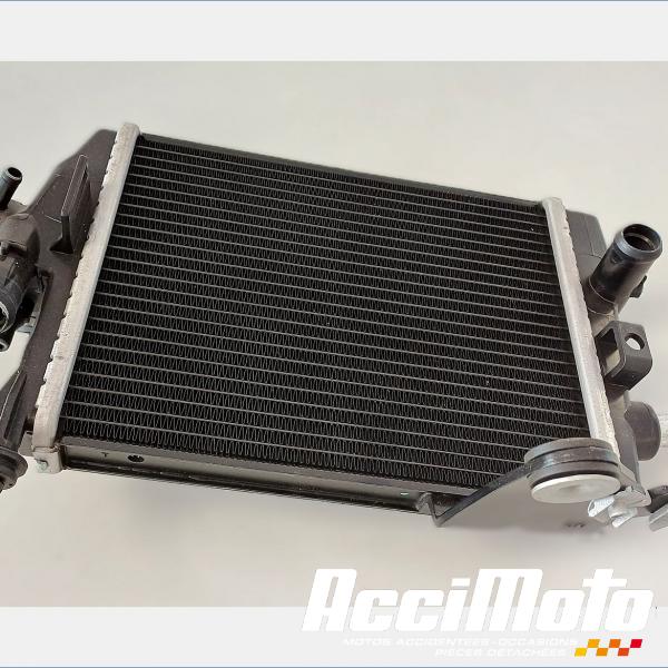 Pièce Moto RADIATEUR REFROIDISSEMENT D BMW R1300 GS