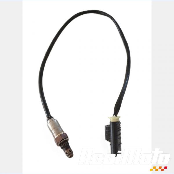 Pièce Moto Sonde lambda BMW R1300 GS