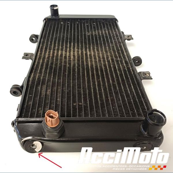 Part Motor bike Radiateur de refroidissement KAWASAKI Z 750
