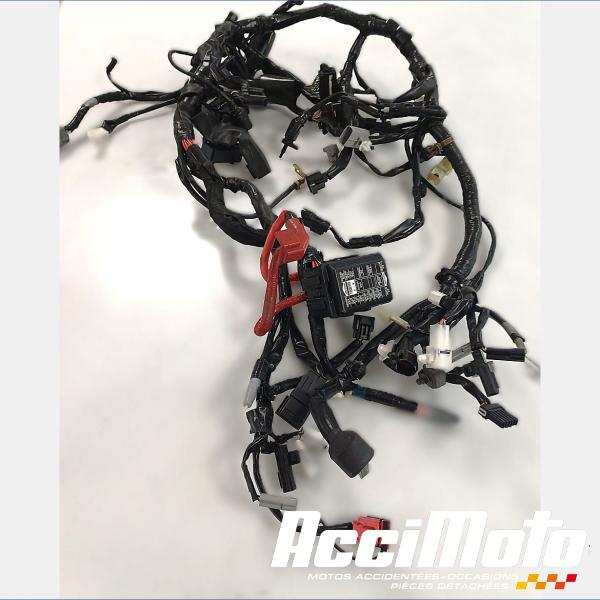 Pièce Moto Faisceau électrique (principal) YAMAHA MT-09