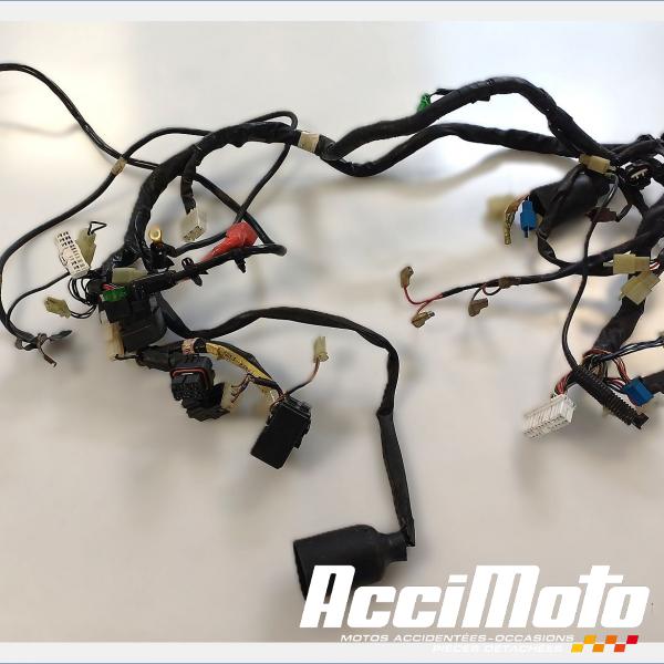 Part Motor bike Faisceau électrique (principal) YAMAHA R1 YZF1000