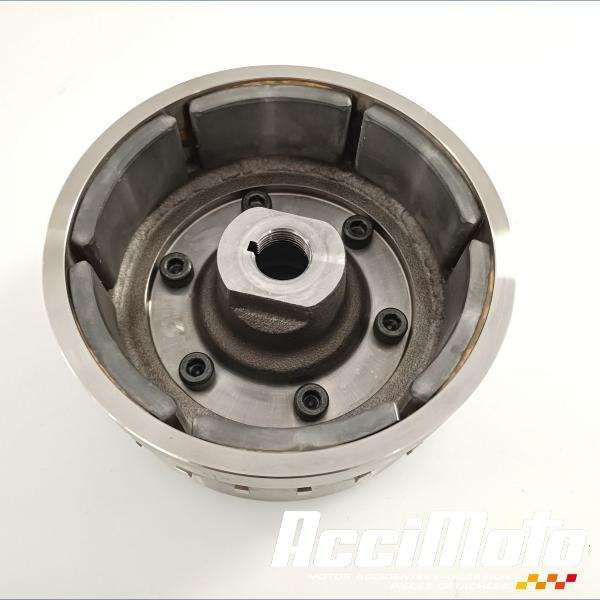 Pièce Moto Rotor d'alternateur SUZUKI SV 1000S