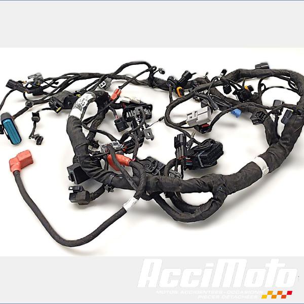 Part Motor bike Faisceau électrique (principal) CF MOTO NK 800
