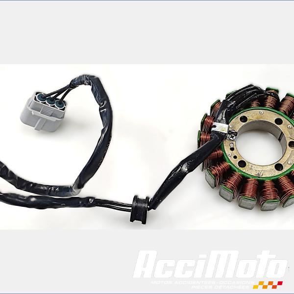 Pièce Moto Stator d'alternateur CF MOTO NK 800